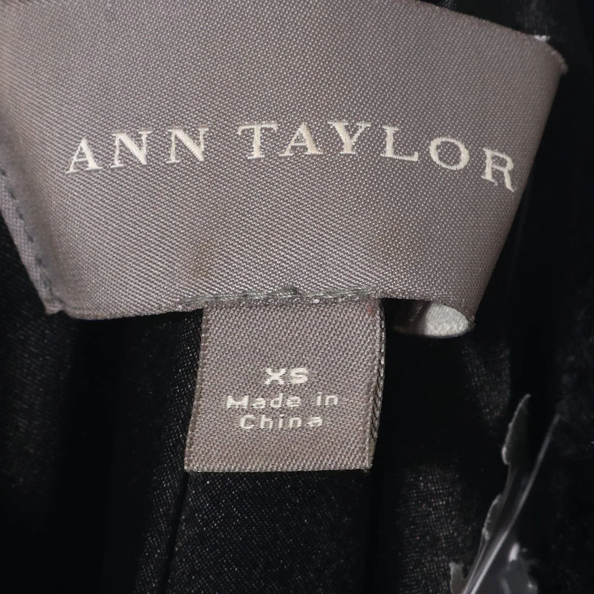 Ann Taylor Abrigo