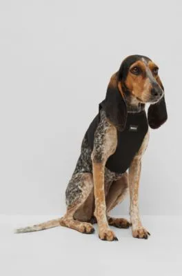 Arnés para perros de malla con raya icónica