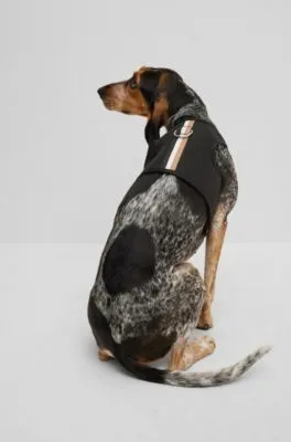 Arnés para perros de malla con raya icónica
