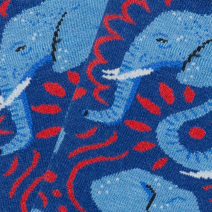 Calcetines Jimmy Lion Elephant Muse Para Niños 