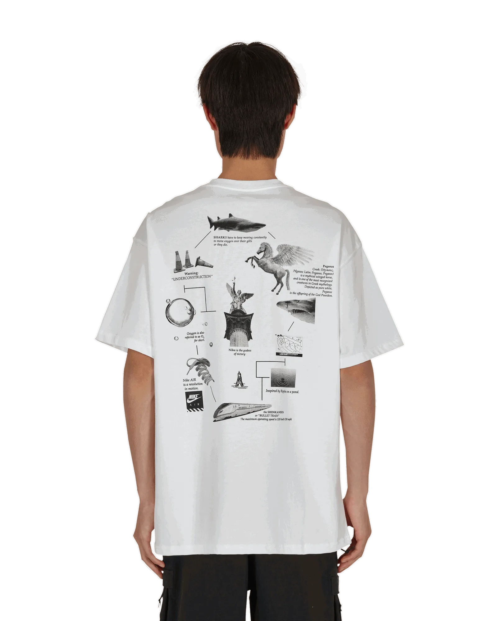 Nike NRG Pegasus Tee